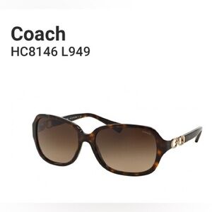 COACH Havana Tortoise Shell Sunglasses